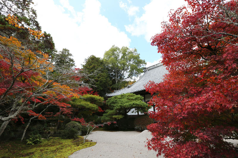 houjoukoukai2014